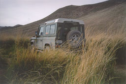Nevada Trophy II 2004